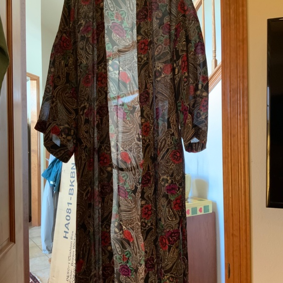 Sheer Robe - Picture 4 of 4